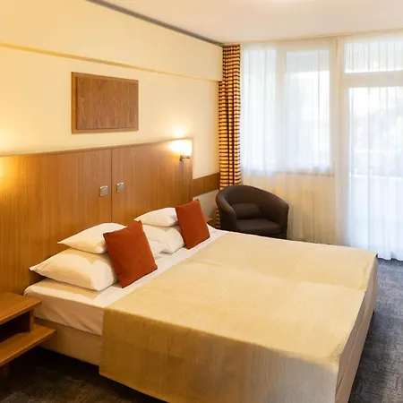 Art Superior Hotell Zalakaros